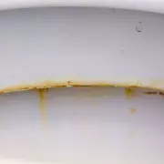 Toilet Limescale Gone in 5 Minutes with 94p Pumice Stone, Not Vinegar