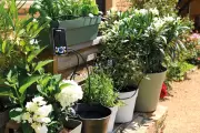 Top 7 Watering Aids for Your Garden This Summer