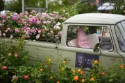 Top Trends from RHS Chelsea Flower Show 2026: Japanese, Wildlife, AI