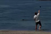 Tourist Charged for Throwing Rock at Endangered Hawaiian Monk Seal