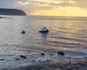 Towing of Sperm Whale Carcass Sparks Safety and Respect Concerns