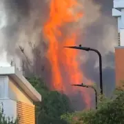 Travel Chaos in London After Massive Fire Near Hackney Central Station