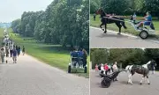 Travellers Race Horse-Drawn Carts Near Windsor Castle, Breaching Ban