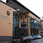 Tree Surgeon Thought He Was Dying During Powerline Electric Shock