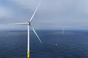 Trump Blocks Offshore Wind as Global Industry Booms Rapidly