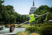 Trump Touts DC Fountains Amid Voter Disapproval Over Cost of Living Crisis