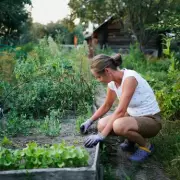 TV Gardener's '70/30 Rule' for a Perfect Summer Garden