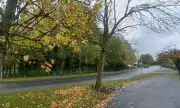 Two Men Hospitalized After Targeted Shooting in Prescot