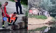 Two Teens Arrested After 11-Year-Old Boy Found Dead with Towel Around Neck in France