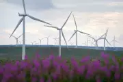 UK Clean Power 2030 Target 'Extremely Ambitious', MPs Warn