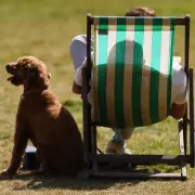 UK Heatwave: 35C Forecast for Tuesday, 15 Counties at 33C or More