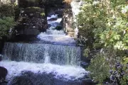 UK Heatwave Claims 12th Life as Teen Dies in Scottish Waterfall