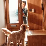UK Pet Laws: How Long Can You Leave Your Cat or Dog Home Alone?