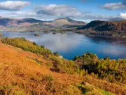 UK's Top 10 Dog-Friendly Hikes for Summer Revealed: Yorkshire Trail Leads