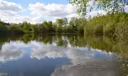 Urgent Search for Missing Teen at Lincoln Lake Continues