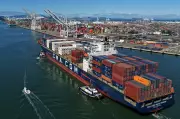 US overstated Trump tariff refunds by $10bn, court filing shows