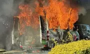 Van Fire in Bondi Prompts Emergency Response, Causes Street Closure