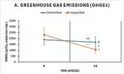 Vegan Diet Cuts Food Emissions by 55%, Study Finds