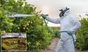 Vermont Becomes First US State to Ban Paraquat Pesticide Linked to Parkinson's