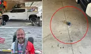 Veteran Says Toyota Dealership Sold Him Rat-Infested $68K Truck