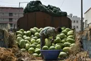 Watermelon Sales Crash After Mysterious Deaths of Family of Four in Mumbai