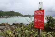 Wellington Sewage Spill Fix by November, Full Repairs by 2027