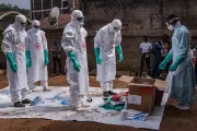 WHO Chief Demands Ceasefire in DRC as Ebola Cases Near 1,000