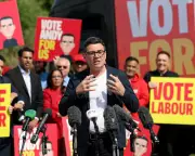 Why Greens Must Run in Every Seat, Ignoring Labour Demands to Stand Aside