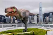 Why T. rex Had Tiny Arms: New Study Reveals Evolutionary Trade-Off