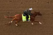 Wide-Open Kentucky Derby Leaves Experts Scrambling for Favorite