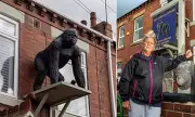 Woman Facing £20,000 Fine Over Gorilla Statue on Her House