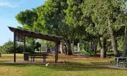 Woman Found Dead at Queensland Beachside Park Identified as Retiree