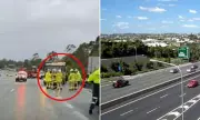 Woman Killed by Ute on Pacific Motorway After Minor Crash