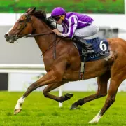 World Champion Filly Minnie Hauk Wins on Return, Bound for Royal Ascot