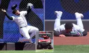 Yankees' Jasson Dominguez Carted Off After Brutal Wall Collision