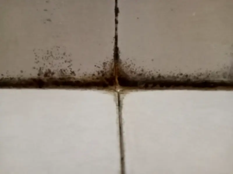 £1 Silicone Strip: Most Effective Method to Banish Black Mould in Bathrooms