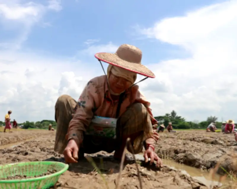 10 Ways a Super El Nino Could Worsen Global Inequality and Crisis