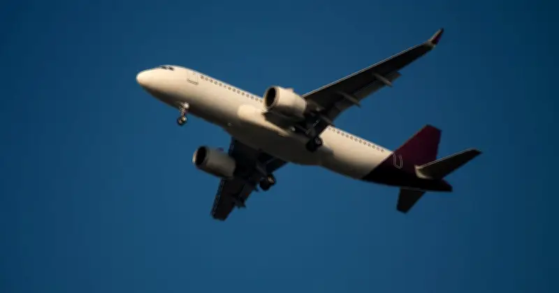 11 Travel Firms Collapse, All Flights Cancelled and Staff Laid Off