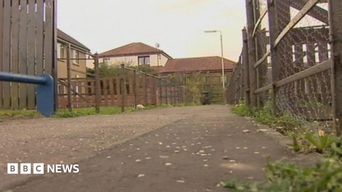 Boy, 12, Hospitalised After Dog Attack in Dundee