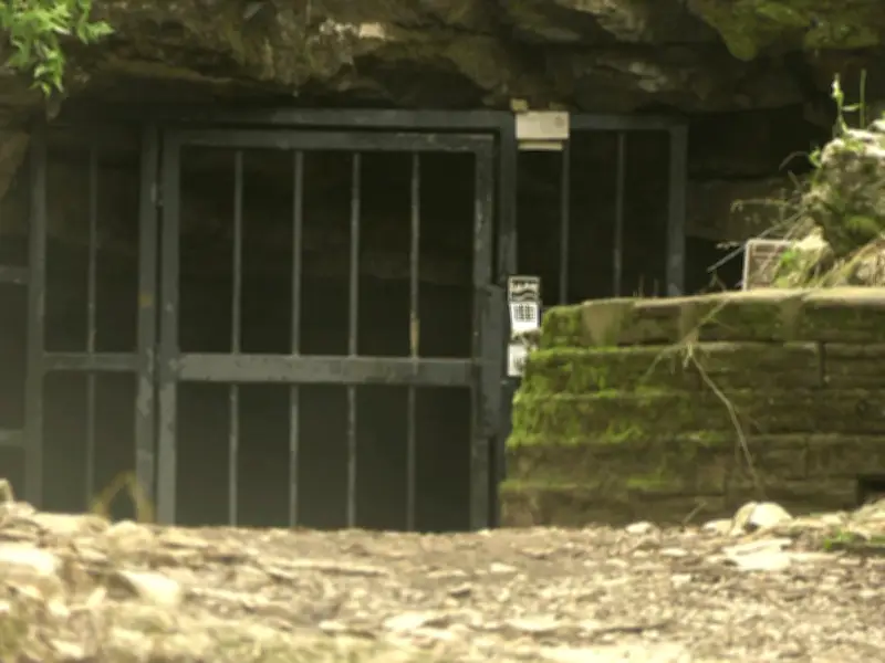 13 Rescued in Double Cave Rescue After Flash Floods in Alabama