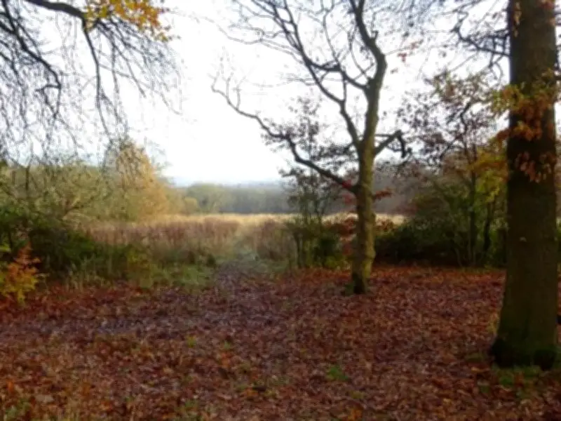 136-Home Estate Plan in Standish Draws Over 100 Objections Over Traffic Fears