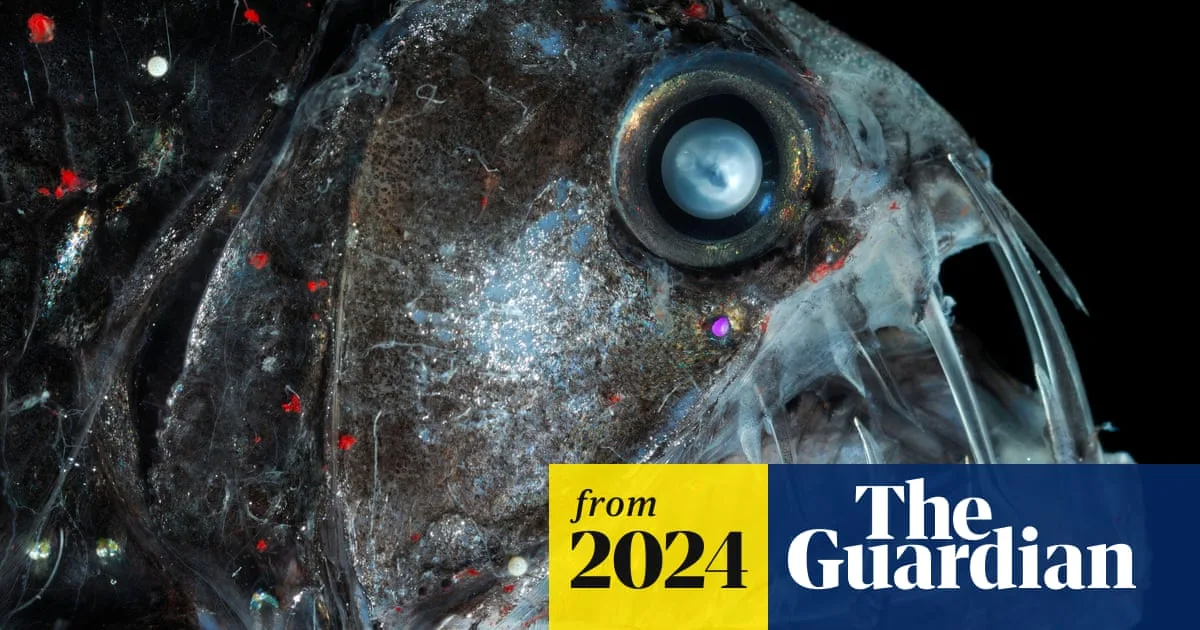 18000 Radioactive Barrels Found Dumped In Atlantic Ocean