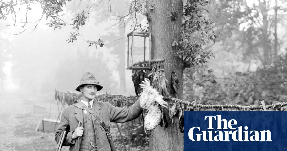 1926 Debate: Should Gamekeepers Preserve Weasels and Stoats?