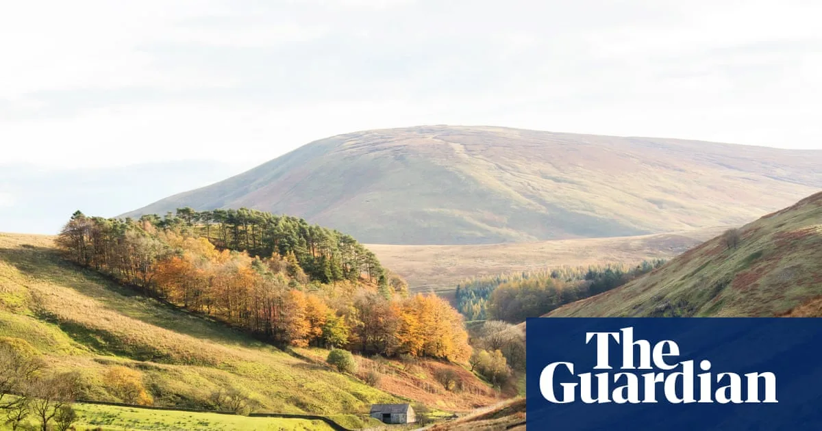 2025 Forecast to Be UK's Hottest Year on Record