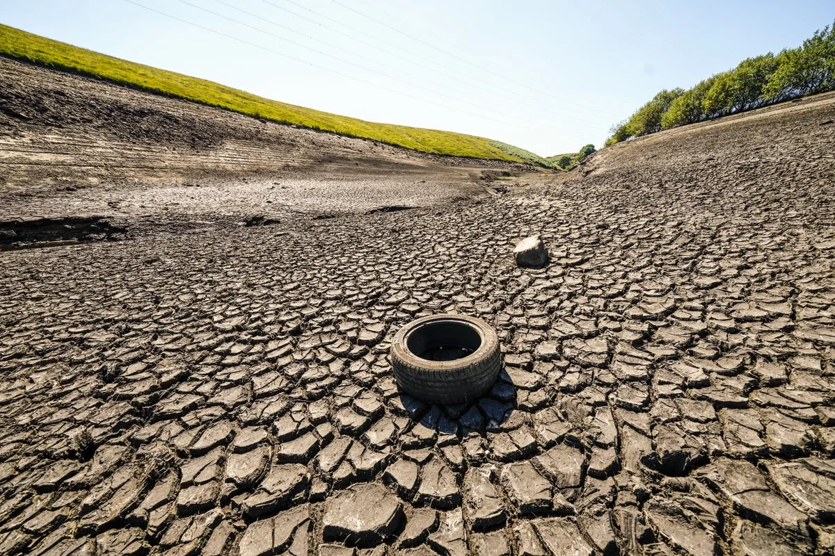 UK Food Imports at Risk From Extreme Heat, Experts Warn