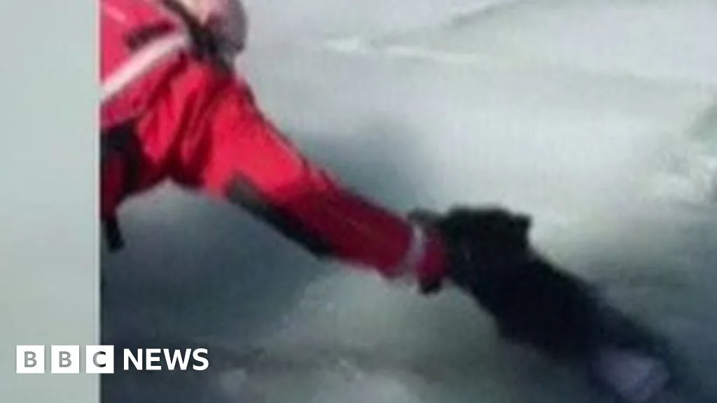Dog Rescued from Frozen Utah Lake by Air Boat
