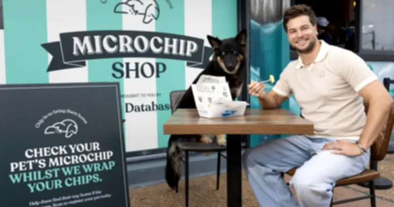 3 in 10 pet owners worry about losing their pet weekly, survey finds