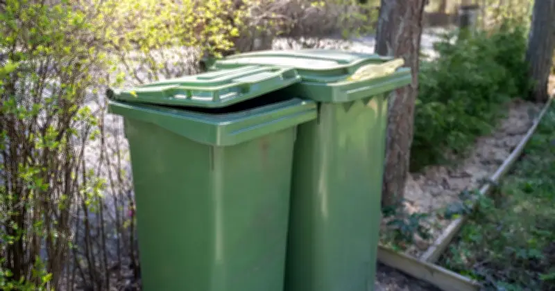 3 Invasive Garden Plants You Must Never Throw in the Bin