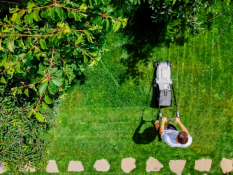 £4 Home Bargains kit keeps garden grass 'lush and green' safely