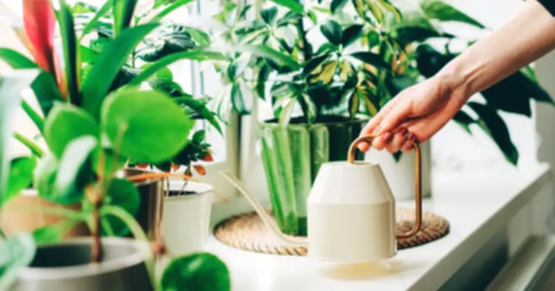 5 Common Houseplants That Naturally Cool Your Home in Summer
